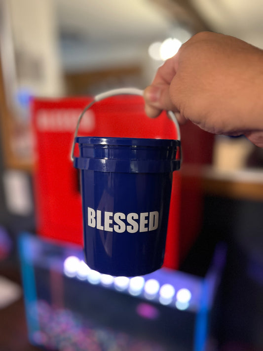 BLESSED BUCKET